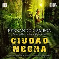 Ciudad Negra