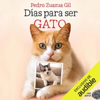 Días para ser gato